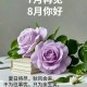 八月第一天,八月第一天怎么发朋友圈