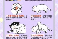 住全季半夜被老鼠咬,睡着了老鼠为什么会跑到床上咬我?