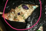 当学生面吃泔水剩饭,发酵泔水做肥料的流程？