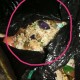 当学生面吃泔水剩饭,发酵泔水做肥料的流程？