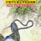 遇蛇大叫把蛇吓跑了,蛇最怕什么声音？