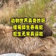 70斤蟒蛇生吞30斤羊,70斤蟒蛇生吞30斤羊蛇
