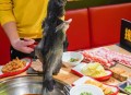 因噪音对邻居浇热油,为什么我的油淋到辣椒不响？