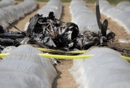 法国飞机坠毁致3死,巴黎和会三巨头分别被称为百灵鸟？