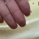 使用10年床垫粉末化,床垫里掉出大量粉末是什么？