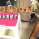 男子洗空调捅到鼠窝,空调进老鼠最简单的处理方法？