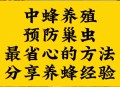 墙中挖出约野生蜂蜜,如何将蜜蜂从墙壁引出来，并且变害为益，提供蜂蜜？