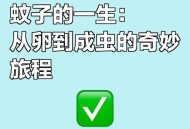 喝隔夜水发现蚊子卵,隔夜水蚊子产卵盖了盖子没事吧？