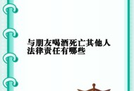 两中国公民在日撞伤,喝酒喝出人命，一起喝酒的人要负法律责任吗？