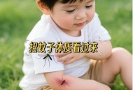 什么颜色吸引蚊子,什么颜色最招蚊子？