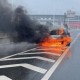 高架上理想车起火,视频：杭州高架上一商务车起火，被烧得只剩车架，消防10分钟扑灭, 你怎么看？