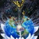 被灵性导师骗300万,心理咨询师和灵性导师的区别？