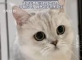首个宠物本科专业,宠物医学专业是文科还是理科？