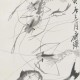 齐白石虾图350起拍,齐白石画的虾最高价是多少？