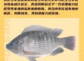 温州河面全是罗非鱼,无刺的鱼有哪些？