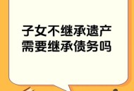 私生子索要千万遗产,