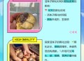 3箱活珠子孵出小鸡,3箱活珠子孵出小鸡怎么办