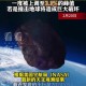 科学家发现超级地球,科学家发现超级地球K2-360b