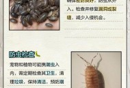 南方出现焖蒸型高温,高温虫子减少吗？