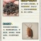 南方出现焖蒸型高温,高温虫子减少吗？