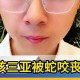 三亚一酒店虫子成群,三亚海边咬人的小黑虫是什么？