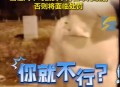 女子骂吸烟领导被辞  ,如何评价一女子在滴滴打车上“抽烟”，就是不下车，还出言骂司机？