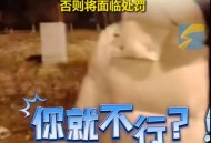 女子骂吸烟领导被辞  ,如何评价一女子在滴滴打车上“抽烟”，就是不下车，还出言骂司机？