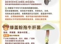 用狗试毒蘑菇仍中毒,狗狗能吃蘑菇菌种吗？
