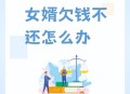 欠百万希望女儿帮还,独女嫁人，我掏空家底给2百万，后女儿病逝，女婿不养我，咋办？