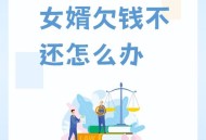 欠百万希望女儿帮还,独女嫁人，我掏空家底给2百万，后女儿病逝，女婿不养我，咋办？