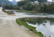 河南一村河流变粉红,