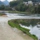 河南一村河流变粉红,