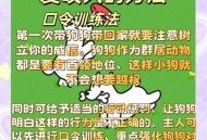 被狗咬后打伤女主人,一个女的狗把我咬了，我不咬狗，我咬狗的女主人，算不算正当防卫？