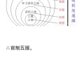 出了五服不是亲戚,出五服的姑表能结婚吗？