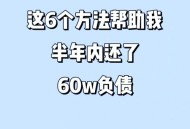 退休夫妇欠债1.2亿 ,退休了负债30万，如何快速上岸？