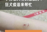 车被狗啃到面目全非,跳蚤咬后奇痒无比，反复发作怎么办?已经被抓的面目全非了？
