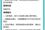 被狗主人殴打致骨折,狗狗的爪子被撵圧的骨折了该怎么办？