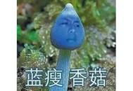 一家四口自驾翻车,网络流行语,老司机开车和翻车是啥意思？