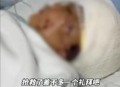 7岁男孩遭3只犬撕咬,三个犬字合在一起怎么念？