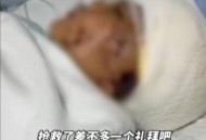 7岁男孩遭3只犬撕咬,三个犬字合在一起怎么念？