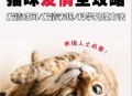 制止乱喊乱叫遭群殴,有哪位高人能介绍几首乱喊乱叫的而且好听点的歌？
