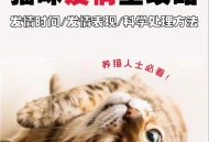 制止乱喊乱叫遭群殴,有哪位高人能介绍几首乱喊乱叫的而且好听点的歌？