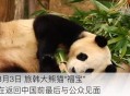 4只旅日大熊猫回国,旅美熊猫启程回国是怎么回事？