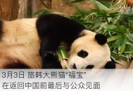 4只旅日大熊猫回国,旅美熊猫启程回国是怎么回事？