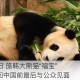 4只旅日大熊猫回国,旅美熊猫启程回国是怎么回事？