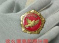 和平鸽也有工资,和平鸽是干嘛的