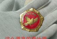 和平鸽也有工资,和平鸽是干嘛的