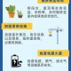 台风三级应急响应,台风三级应急响应启动
