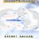 极端事件仍可能发生,极端事件仍可能发生的原因