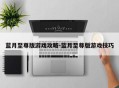 蓝月至尊版游戏攻略-蓝月至尊版游戏技巧